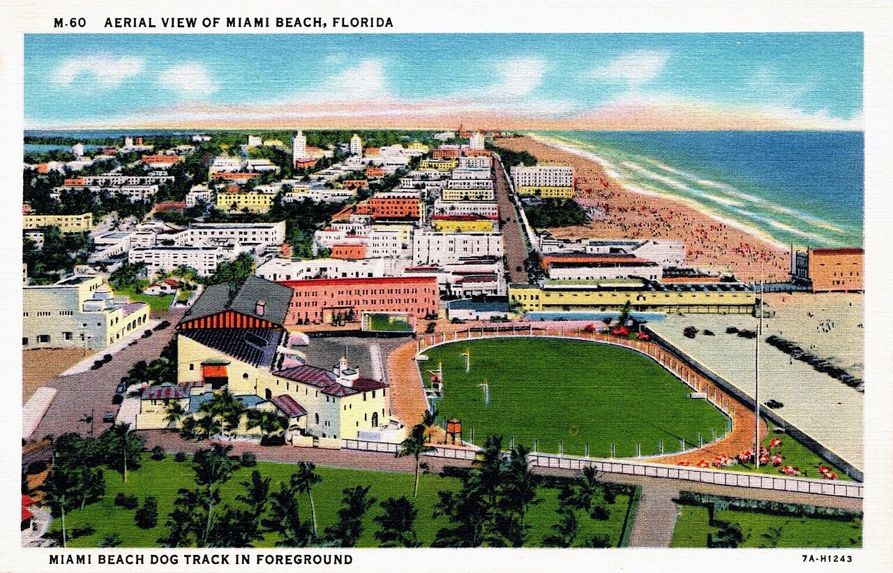 Your Miami Beach Beauty Routine, Edited: What the Women in the Good Buildings Are Actually Using