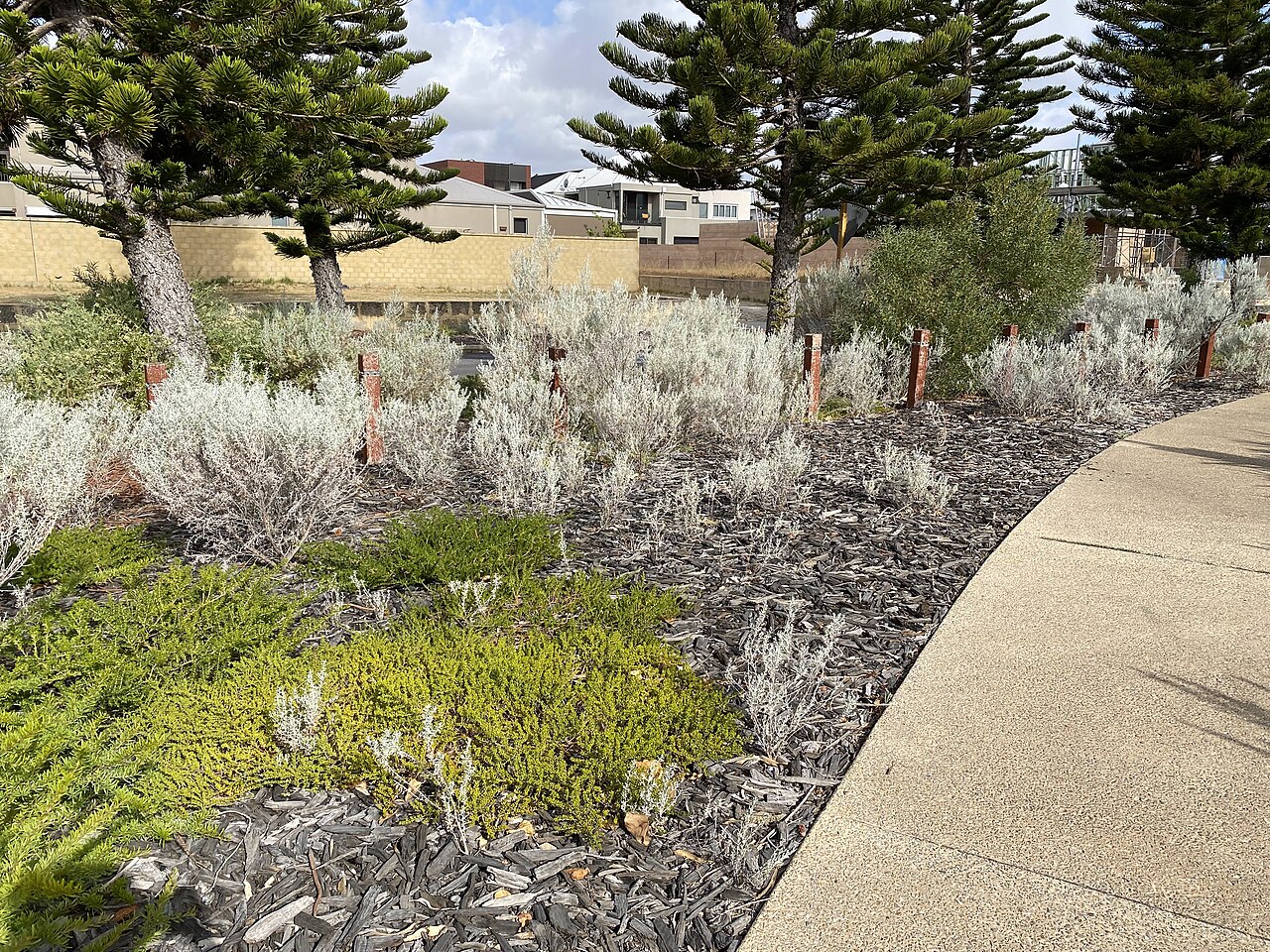 Collins Avenue vs. the Strip: Where Beach Girls Actually Go